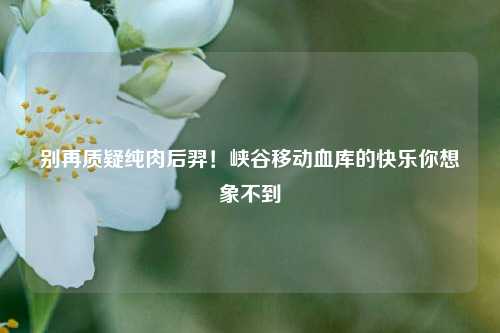 别再质疑纯肉后羿!峡谷移动血库的快乐你想象不到