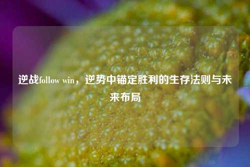 逆战follow win，逆势中锚定胜利的生存法则与未来布局