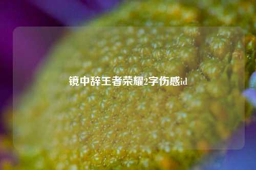 镜中辞王者荣耀2字伤感id