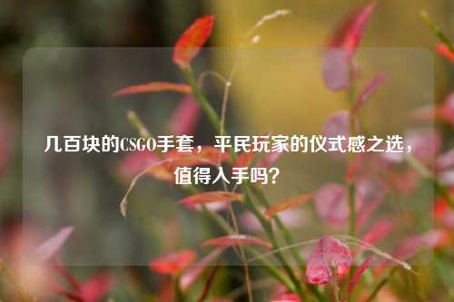 几百块的CSGO手套,平民玩家的仪式感之选,值得入手吗?