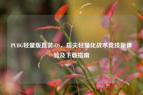 PUBG轻量版直装iOS,指尖轻量化战术竞技新体验及下载指南