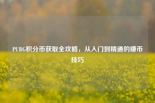PUBG积分币获取全攻略，从入门到精通的赚币技巧