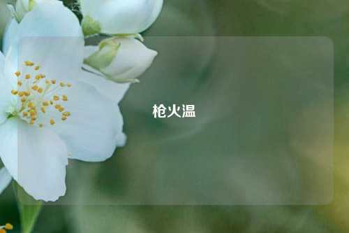 枪火温