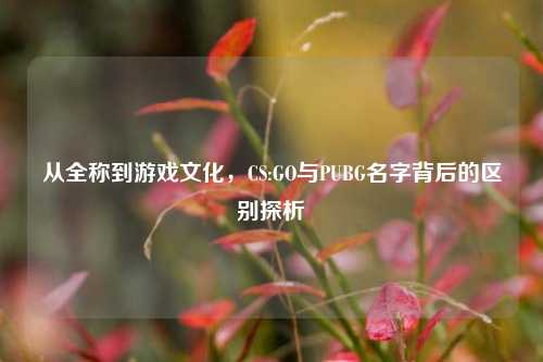 从全称到游戏文化，CS:GO与PUBG名字背后的区别探析