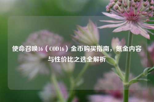 使命召唤16(COD16)金币购买指南,氪金内容与性价比之选全解析