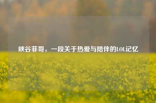 峡谷菲哥,一段关于热爱与陪伴的LOL记忆