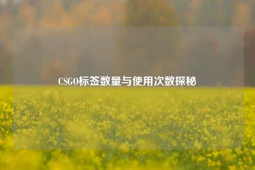 CSGO标签数量与使用次数探秘
